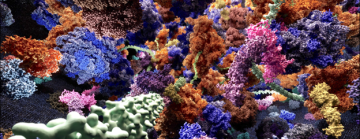 High Resolution Protein Structure captured by Dr. Muyuan Chen